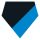 Carolina Panthers